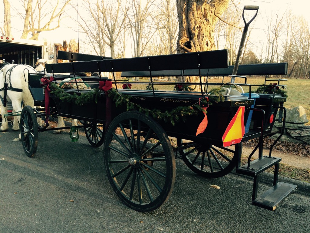 horse carriage 12-19-2015